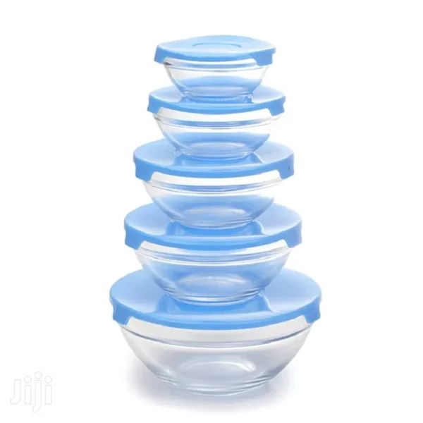 5Pcs Glass Bowl Set with Lid